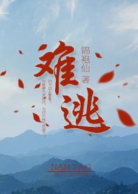 音乐盒最新章节