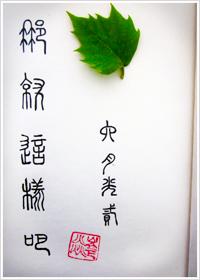 王爷的小神医 完结+番外最新章节