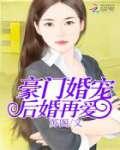 鸟飞即美txt下载